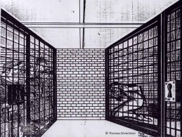 Cage inside a Cage. Artist: ©Thomas Silverstein